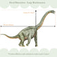 Pip+Phee Dinosaur Fabric Wall Decals - Trex, Triceratops & Brontosaurus
