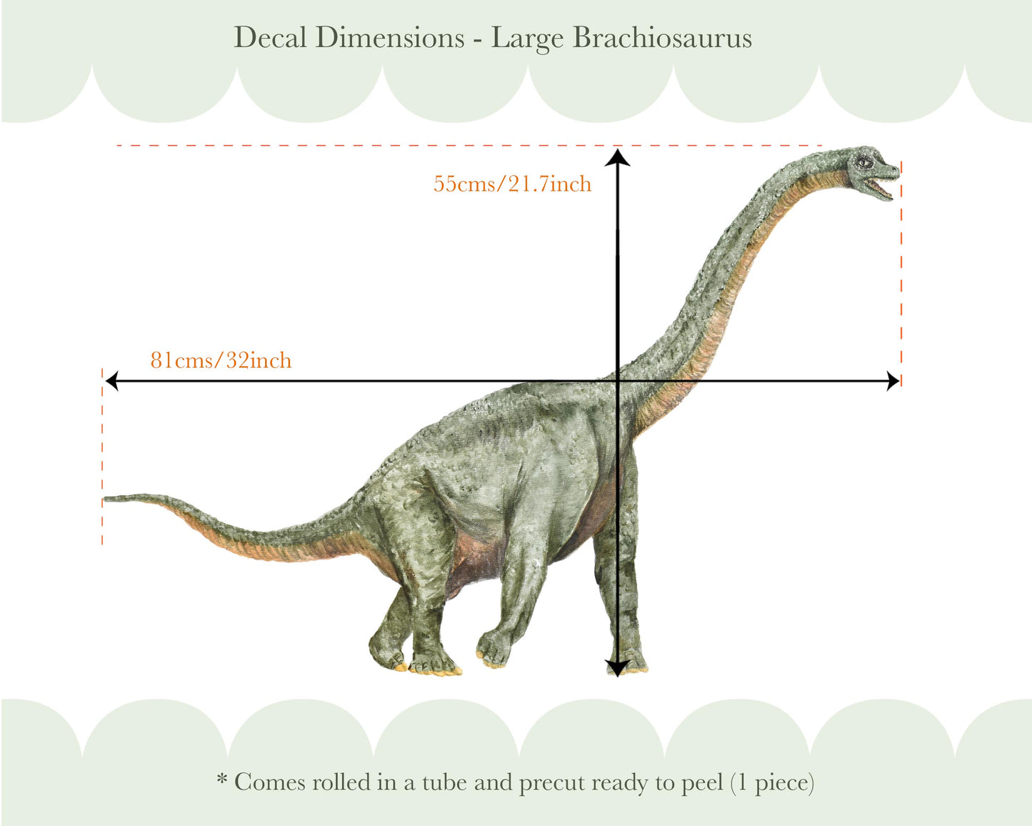 Pip+Phee Dinosaur Fabric Wall Decals - Trex, Triceratops & Brontosaurus