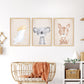 Pip+Phee Australian Animals Koala Art Print