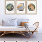 Pip+Phee Dino Riders Trex Art Print