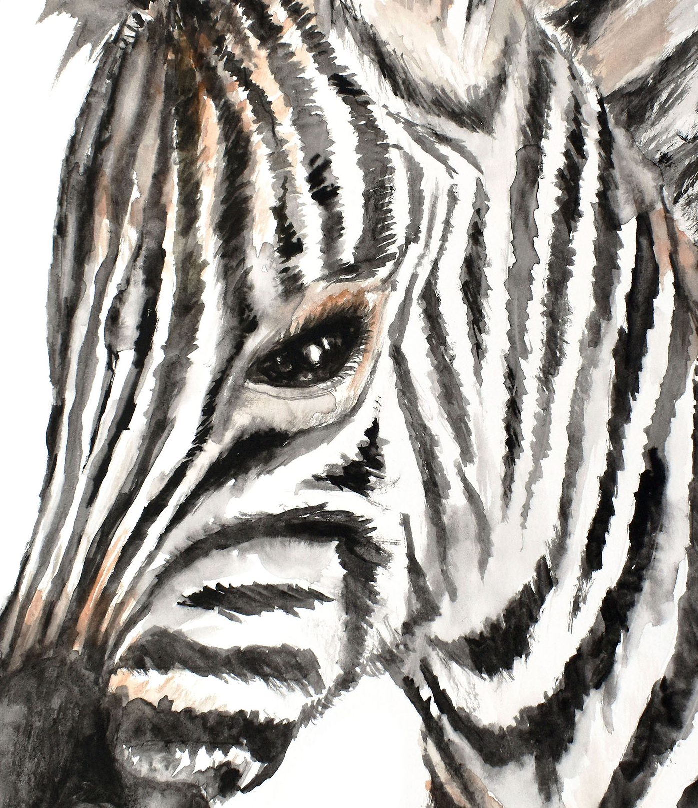 Pip+Phee Watercolour Jungle Zebra Art Print