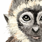 Pip+Phee Watercolour Jungle Monkey Art Print