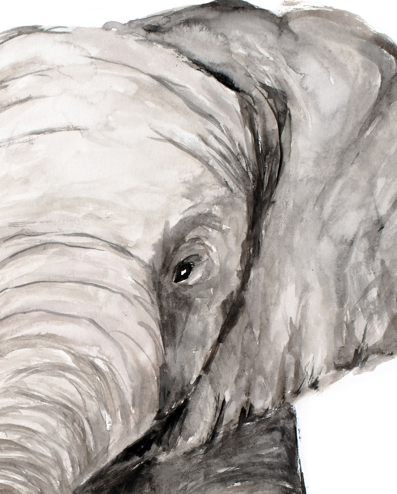 Pip+Phee Watercolour Jungle Elephant Art Print