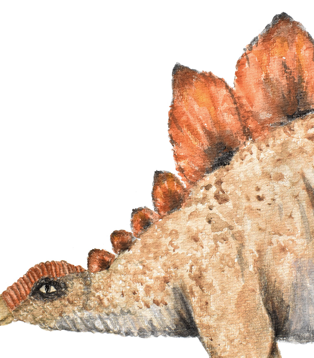 Pip+Phee Jurassic Stegosaurus Art Print