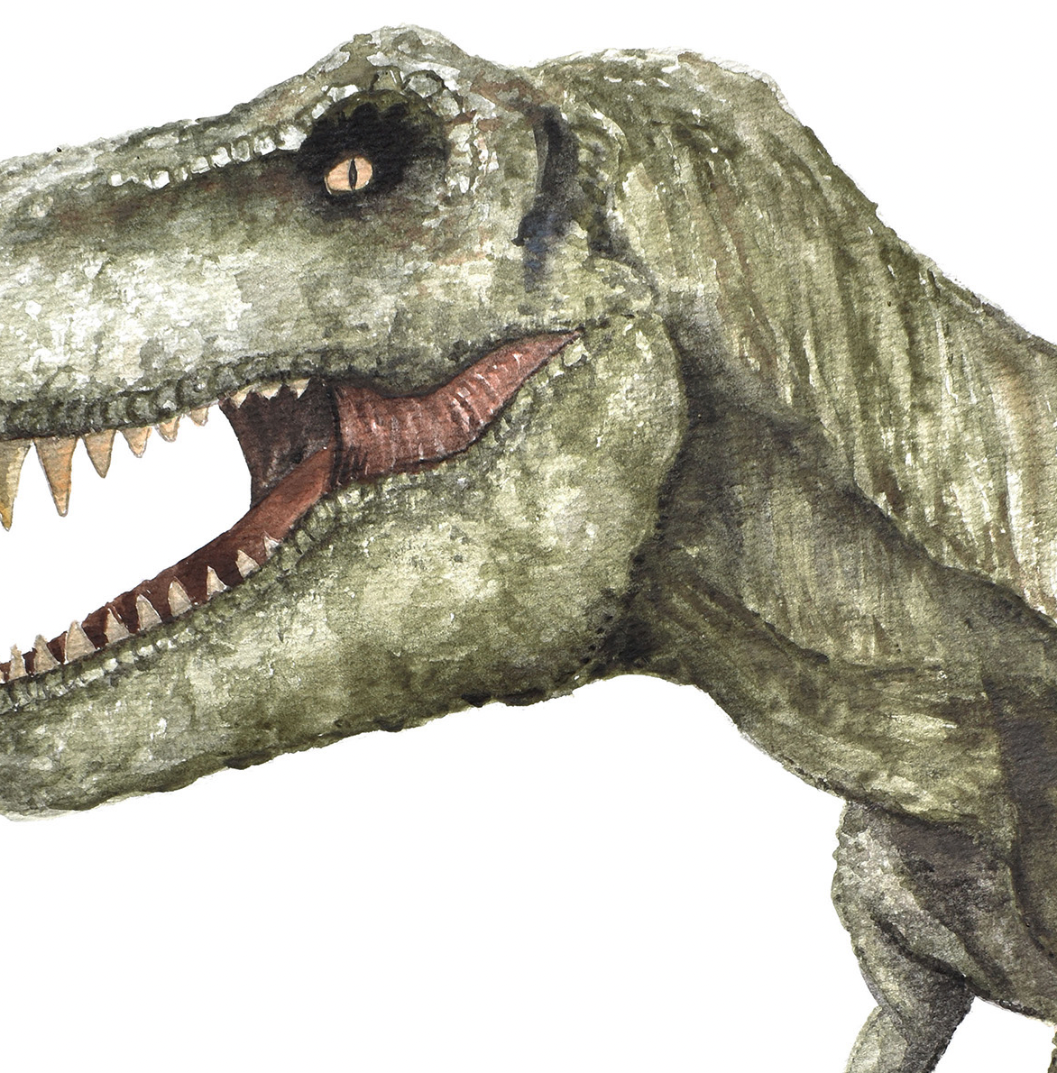 Pip+Phee Jurassic Trex Art Print