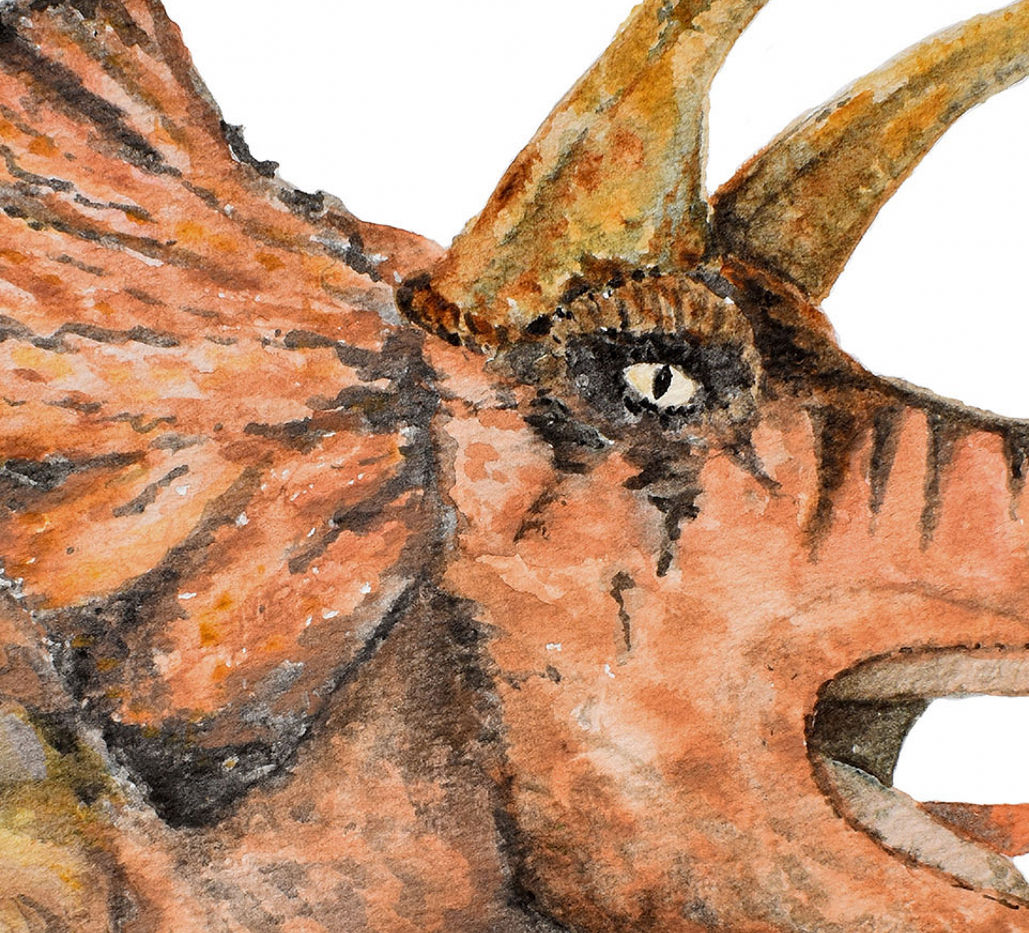 Pip+Phee Jurassic Triceratops Art Print