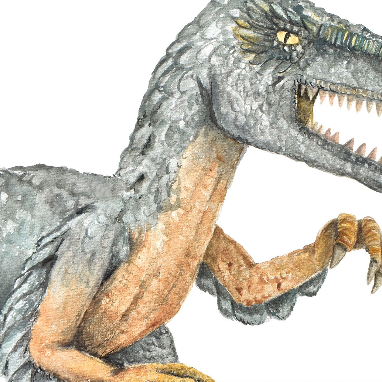Pip+Phee Jurassic Velociraptor Art Print