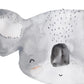 Pip+Phee Australian Animals Koala Art Print
