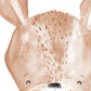 Pip+Phee Australian Animals Kangaroo Art Print
