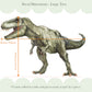Pip+Phee Dinosaur Fabric Wall Decals - Trex, Triceratops & Brontosaurus